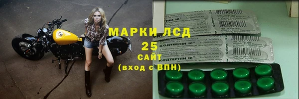 ПСИЛОЦИБИНОВЫЕ ГРИБЫ Лагань