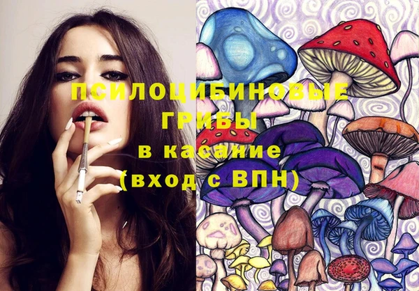 ПСИЛОЦИБИНОВЫЕ ГРИБЫ Лагань