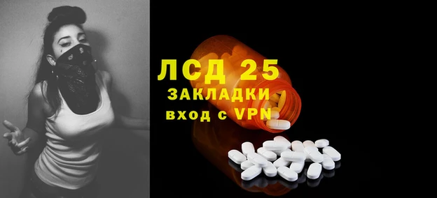 ПСИЛОЦИБИНОВЫЕ ГРИБЫ Лагань