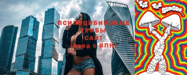 гидра Лабытнанги