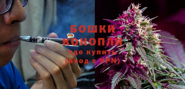 ПСИЛОЦИБИНОВЫЕ ГРИБЫ Лагань