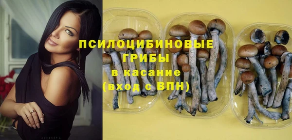 гидра Лабытнанги
