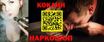 стафф Дубна