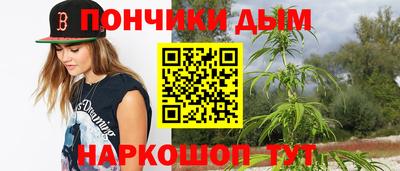 крисы Бийск