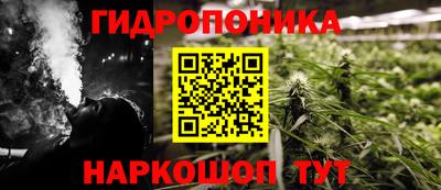 крисы Бийск