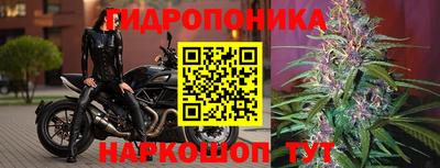 mdpv Донской
