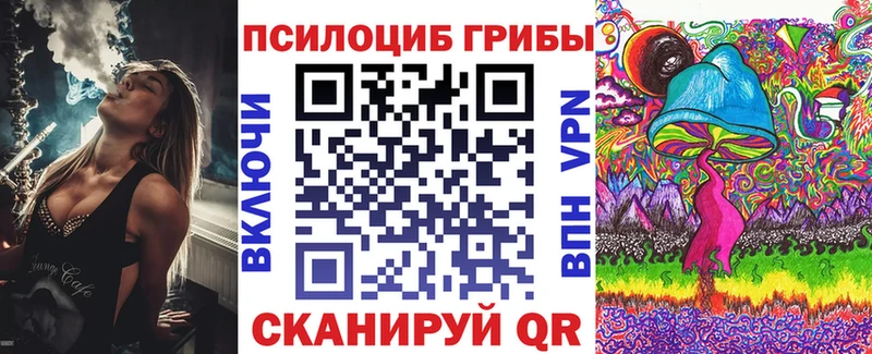закладка Железногорск Галлюциногенные грибы Cubensis